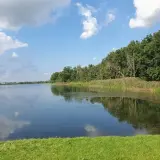 Spokojna tafla zalewu bolimowskiego odbija błękitne niebo z chmurami. Brzeg porasta bujna zieleń i trzciny.