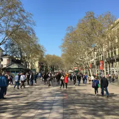 Tłum ludzi spaceruje po La Rambla w Barcelonie, pod cienistymi drzewami i wzdłuż zabytkowych budynków.
