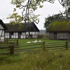 Wiejskie chaty z krytymi strzechą dachami, gęsi pasące się na trawie. To kluki atrakcje, które przenoszą w przeszłość.