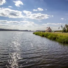 Słoneczny dzień nad jeziorem, gdzie w oddali widać drewniany budynek i drogę z samochodami. Woda lśni, a na brzegu rośnie bujna trawa. To idealne miejsce na odpoczynek, może nawet na piknik przy **wykrot**ach.