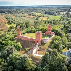 Ruiny zamku w krajobrazie rolniczym, otoczone lasem. To malownicze miejsce znajduje się w województwie mazowieckim, największym województwie w Polsce.