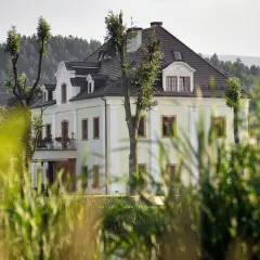Elegancka restauracja kaczka na wodzie, otoczona zielenią, z widokiem na las i góry.
