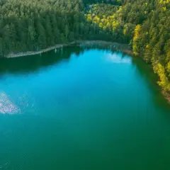 Turkusowe jezioro Wapnica otoczone gęstym lasem. Woda lśni w słońcu, tworząc malowniczy krajobraz.
