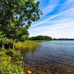 Zielona linia brzegowa z drzewami i trzcinami nad spokojną taflą wody. W oddali las, a na niebie białe smugi. Może to jedno z najgłębszych jezior w Polsce?