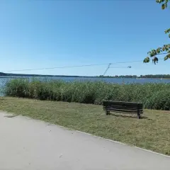 Słoneczny dzień nad zalewem zemborzyckim. W oddali widać wyciąg do nart wodnych, a na brzegu rośnie trzcina.
