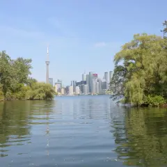 Najlepsze atrakcje w Toronto, które musisz zobaczyć i doświadczyć