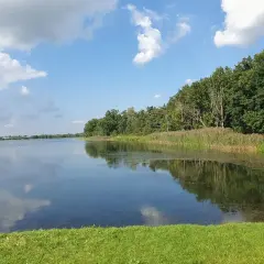 Spokojna tafla zalewu bolimowskiego odbija błękitne niebo z chmurami. Brzeg porasta bujna zieleń i trzciny.