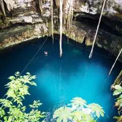 Niesamowity cenote z turkusową wodą, wiszącymi korzeniami i małą postacią pływającą w głębinach.