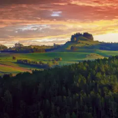 Najlepsze atrakcje turystyczne w Pile, które musisz zobaczyć