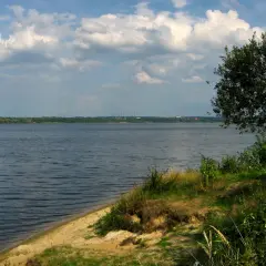 Spokojne jezioro Dzierżno z piaszczystym brzegiem i drzewem na pierwszym planie. W oddali widoczny las i kominy przemysłowe.