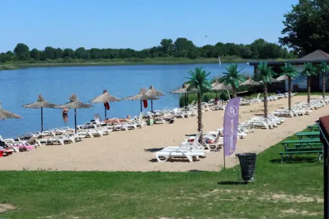 Słoneczny dzień nad jeziorem koło Wrocławia. Piasek, leżaki, parasole i palmy tworzą wakacyjny klimat.