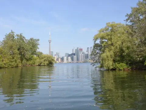 Najlepsze atrakcje w Toronto, które musisz zobaczyć i doświadczyć