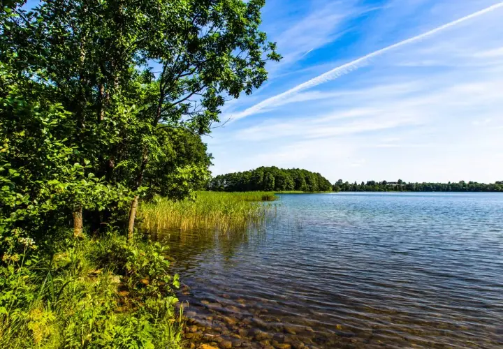 Zielona linia brzegowa z drzewami i trzcinami nad spokojną taflą wody. W oddali las, a na niebie białe smugi. Może to jedno z najgłębszych jezior w Polsce?