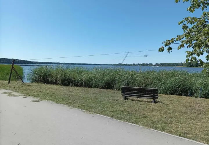 Słoneczny dzień nad zalewem zemborzyckim. W oddali widać wyciąg do nart wodnych, a na brzegu rośnie trzcina.