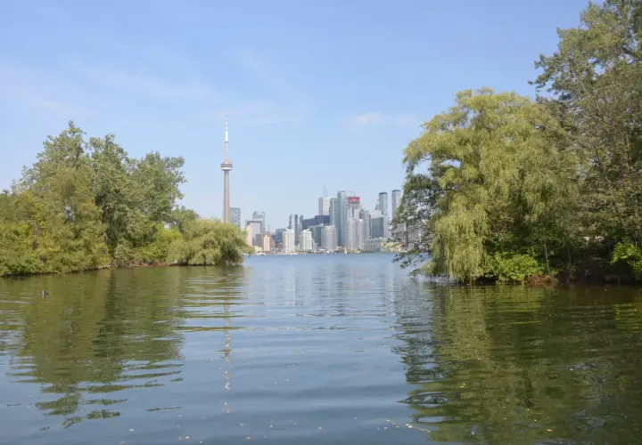 Najlepsze atrakcje w Toronto, które musisz zobaczyć i doświadczyć