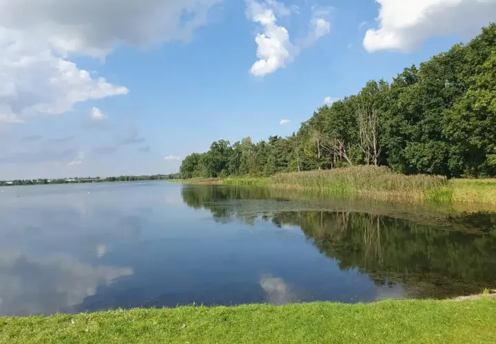 Spokojna tafla zalewu bolimowskiego odbija błękitne niebo z chmurami. Brzeg porasta bujna zieleń i trzciny.