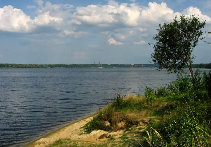 Spokojne jezioro Dzierżno z piaszczystym brzegiem i drzewem na pierwszym planie. W oddali widoczny las i kominy przemysłowe.