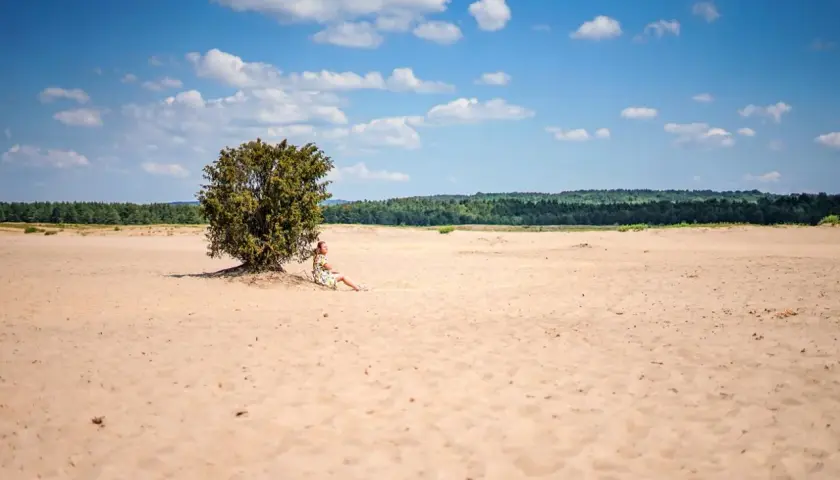 Kobieta w sukience odpoczywa w cieniu samotnego drzewa na Pustyni Błędowskiej.