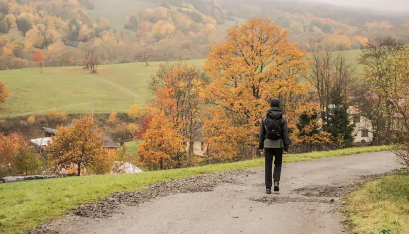 Osoba z plecakiem idzie drogą przez jesienny krajobraz. W oddali widać wzgórza pokryte drzewami w barwach ożennej.