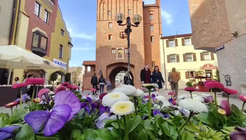 Kwiaty na pierwszym planie, w tle ceglana wieża i kolorowe kamienice. Idealne miejsce na romantyczny spacer, odkrywając olsztyn atrakcje dla dwojga.