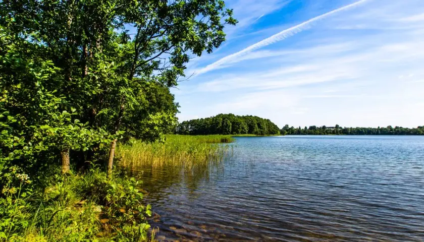 Zielona linia brzegowa z drzewami i trzcinami nad spokojną taflą wody. W oddali las, a na niebie białe smugi. Może to jedno z najgłębszych jezior w Polsce?