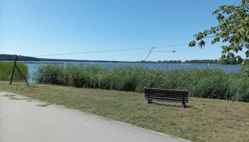 Słoneczny dzień nad zalewem zemborzyckim. W oddali widać wyciąg do nart wodnych, a na brzegu rośnie trzcina.
