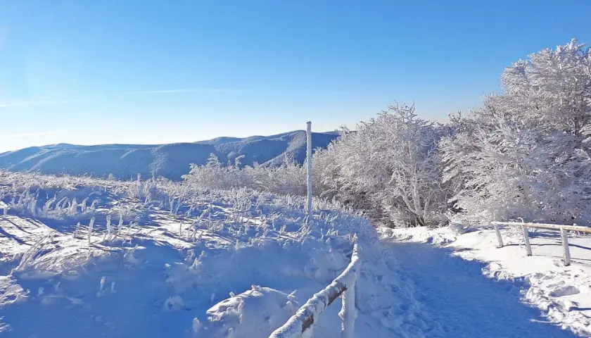 Zimowe ferie podkarpackie. Śnieżne krajobrazy górskie, szlak pokryty białym puchem, drzewa oszronione, błękitne niebo.
