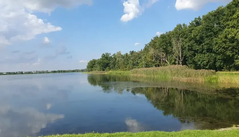 Spokojna tafla zalewu bolimowskiego odbija błękitne niebo z chmurami. Brzeg porasta bujna zieleń i trzciny.