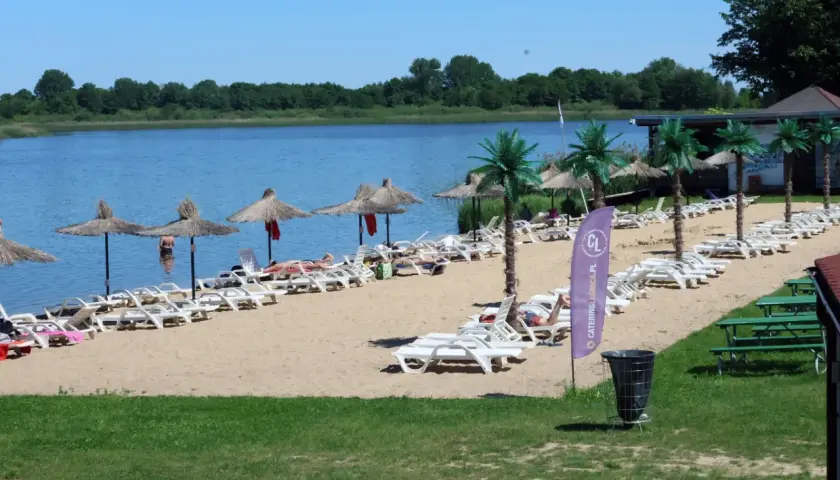 Słoneczny dzień nad jeziorem koło Wrocławia. Piasek, leżaki, parasole i palmy tworzą wakacyjny klimat.