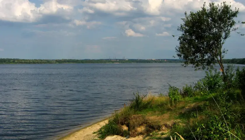 Spokojne jezioro Dzierżno z piaszczystym brzegiem i drzewem na pierwszym planie. W oddali widoczny las i kominy przemysłowe.