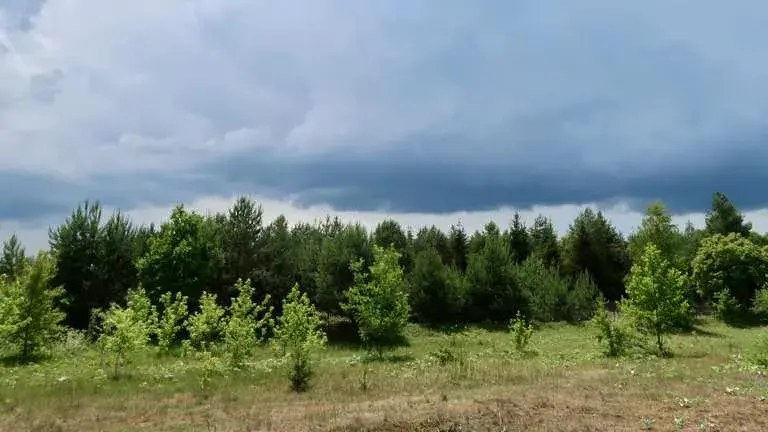 Ostrów Mazowiecka atrakcje - odkryj ukryte skarby i piękne miejsca