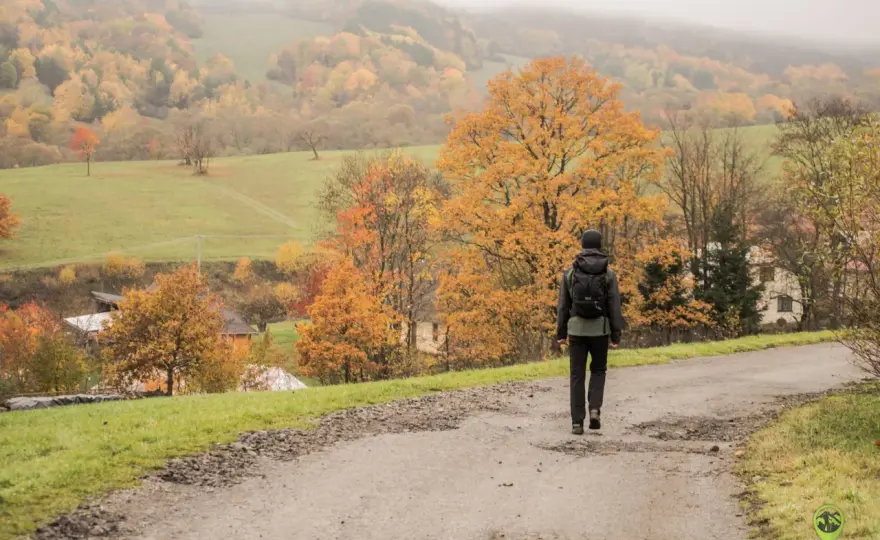 Ożenna - Beskid Niski, historia i spokój bez tłumów