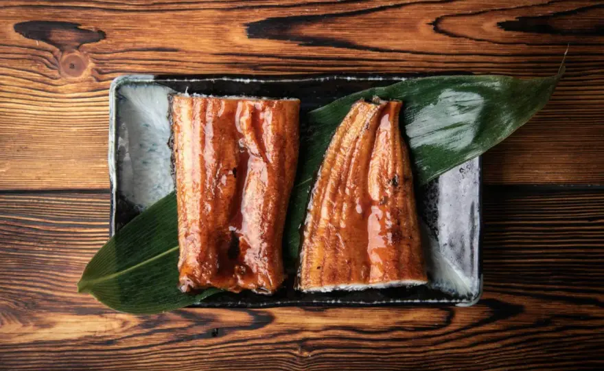 Unagi - japoński węgorz. Jak smakuje i gdzie go jeść?