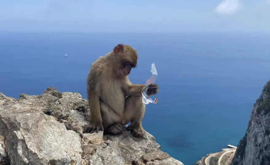 Gibraltar - co warto zobaczyć? Plan zwiedzania Skały