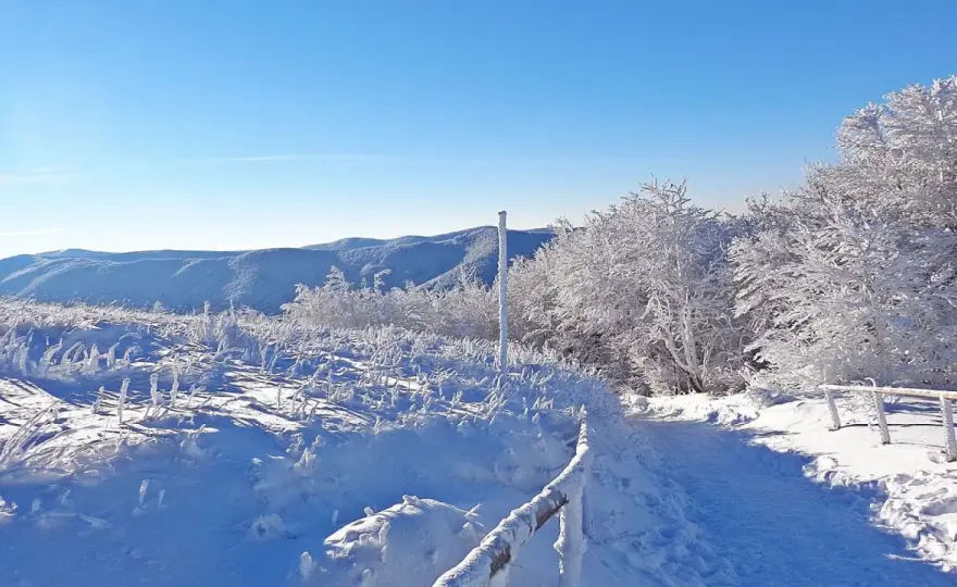 Podkarpacie zimą - Ferie w górach i mieście? Sprawdź!