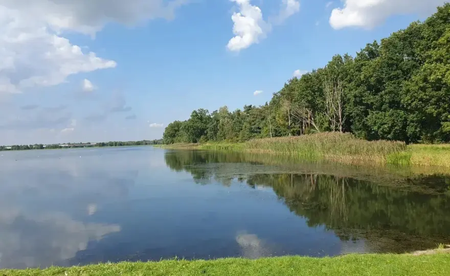 Zalew Bolimowski - Spokój i natura. Co musisz wiedzieć?
