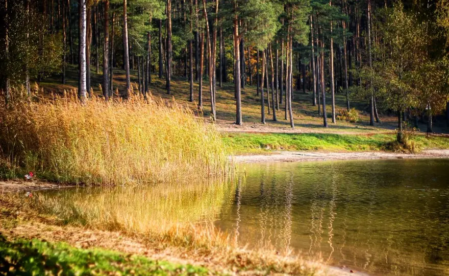 Piecki nad Jeziorem Jezuickim - Reset blisko Bydgoszczy