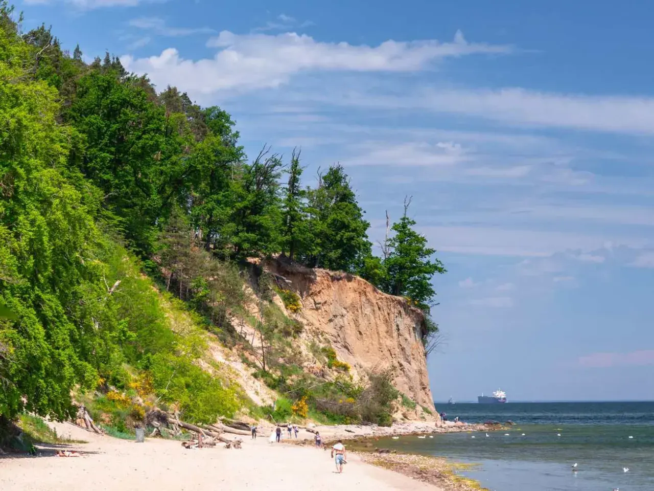 Plaża nad Bałtykiem z klifem porośniętym drzewami. W oddali widać statek na morzu.