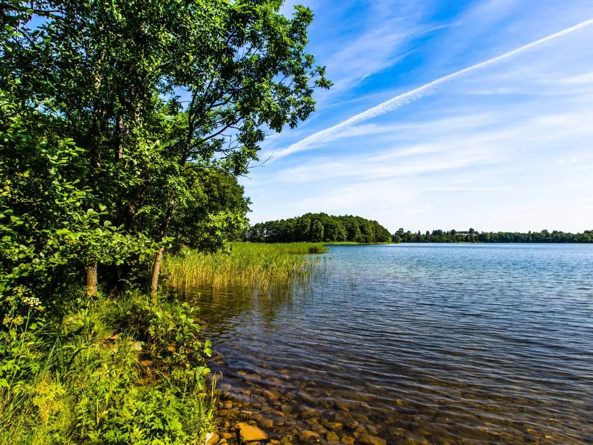 Zielona linia brzegowa z drzewami i trzcinami nad spokojną taflą wody. W oddali las, a na niebie białe smugi. Może to jedno z najgłębszych jezior w Polsce?