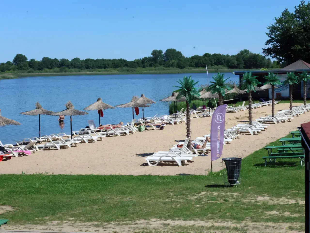 Słoneczny dzień nad jeziorem koło Wrocławia. Piasek, leżaki, parasole i palmy tworzą wakacyjny klimat.