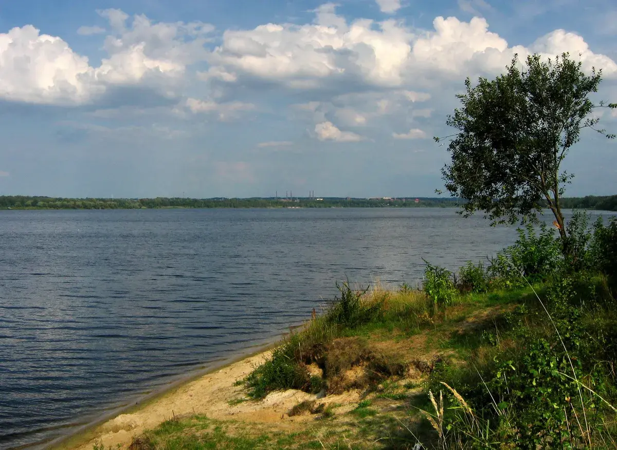 Spokojne jezioro Dzierżno z piaszczystym brzegiem i drzewem na pierwszym planie. W oddali widoczny las i kominy przemysłowe.