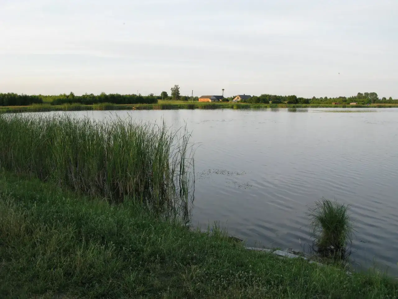 Spokojny majdan zahorodyński z trzcinami na brzegu i domami w oddali.