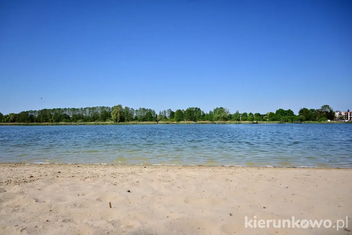 Piaskowa plaża nad jeziorem w Gołuchowie, z zielonym lasem w tle i błękitnym niebem.