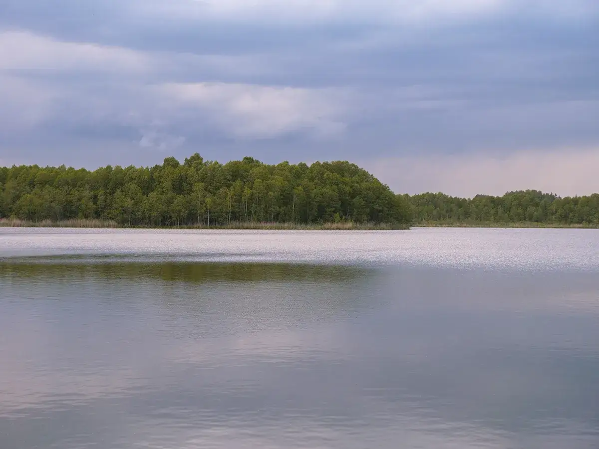 Spokojne, płaskie jezioro odbija pochmurne niebo. Na horyzoncie rozciąga się gęsty, zielony las.