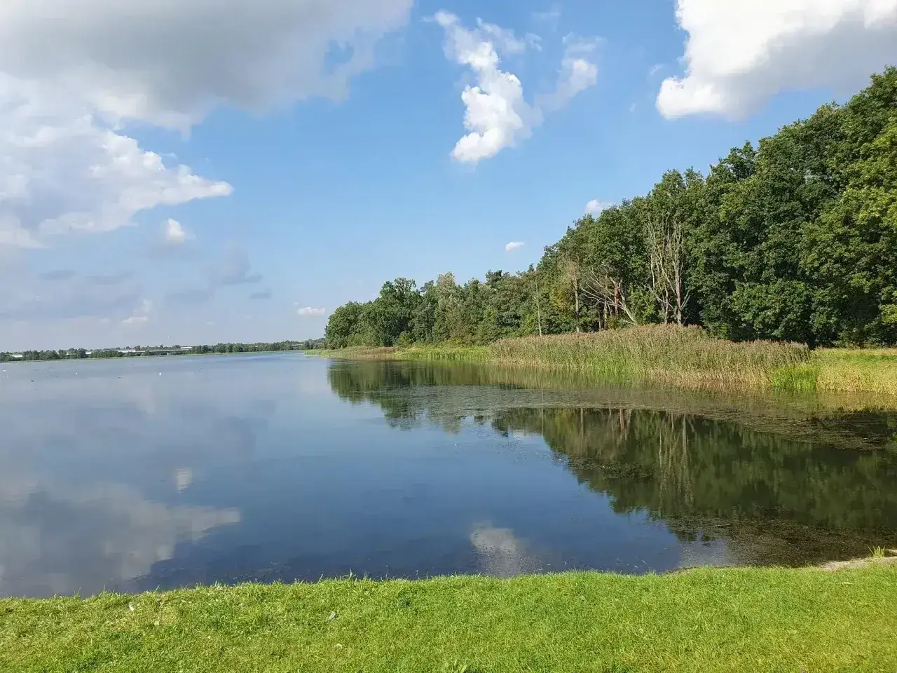Spokojna tafla zalewu bolimowskiego odbija błękitne niebo z chmurami. Brzeg porasta bujna zieleń i trzciny.