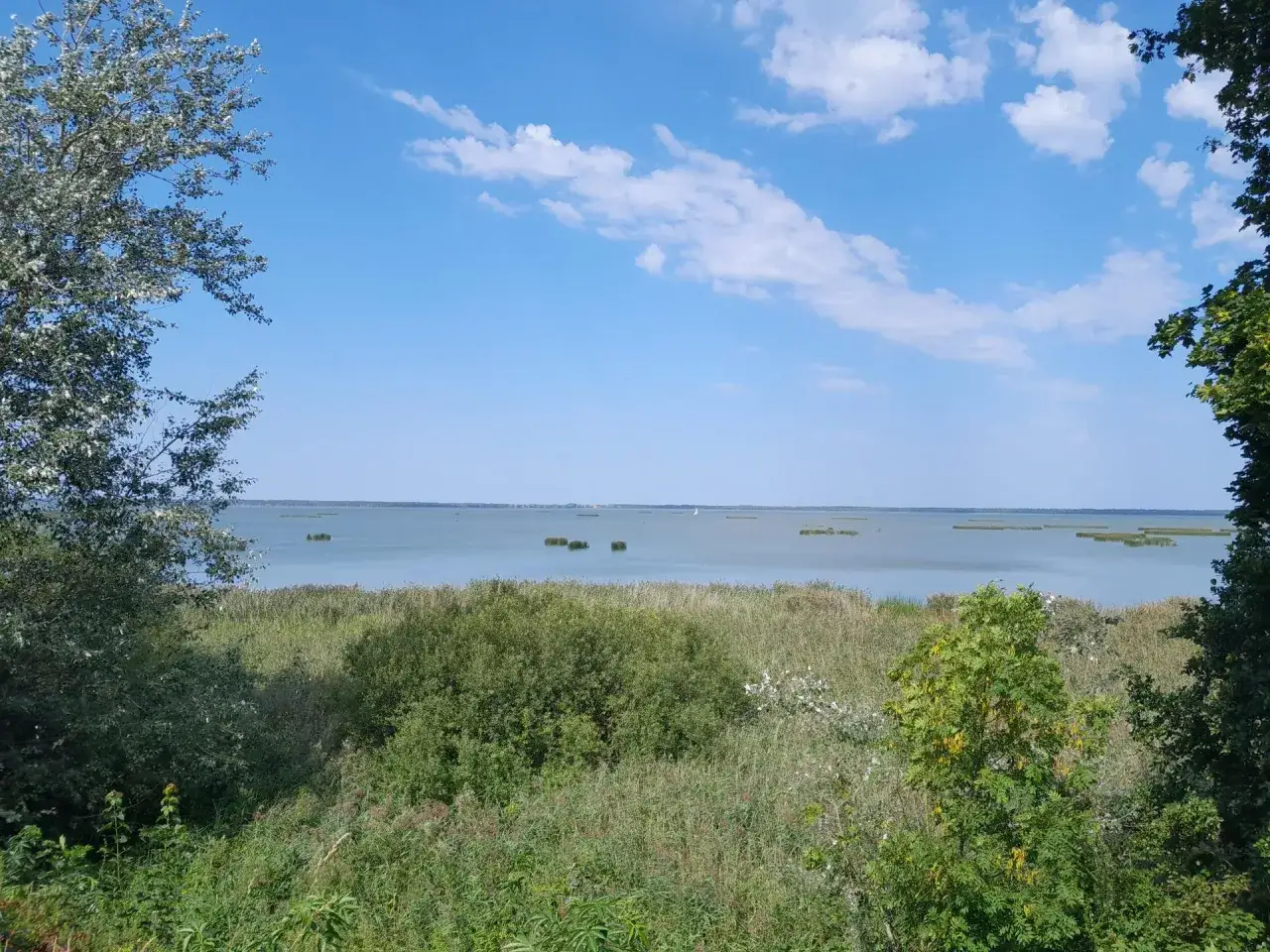 Spokojny widok na jezioro Gardno otoczone trzcinami i zielenią. Błękitne niebo z białymi chmurami.
