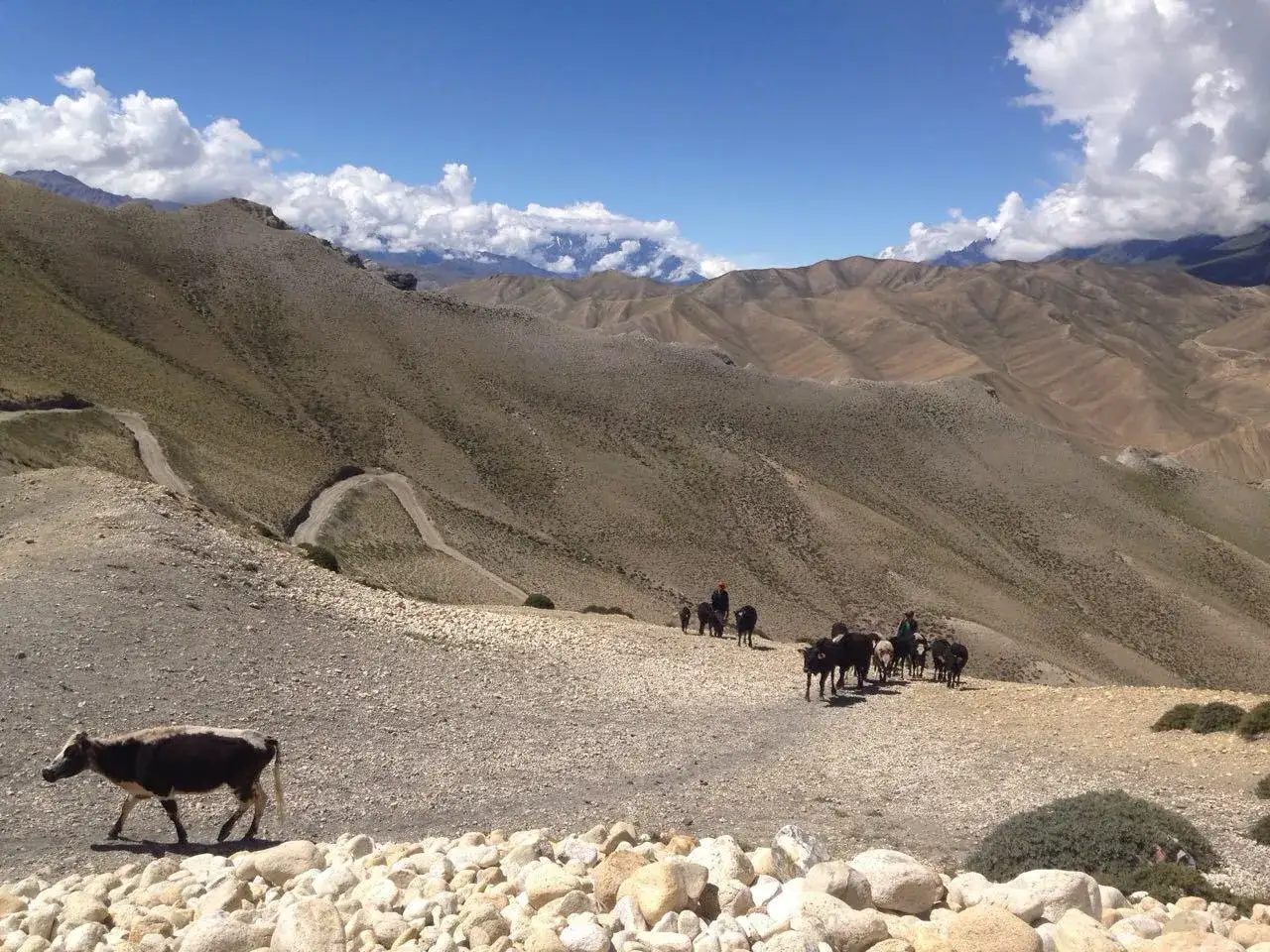 Zdjęcie Nepal kiedy jechać: najlepszy czas na trekking i zwiedzanie